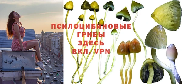 ALPHA PVP Армянск