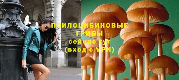 2c-b Арсеньев